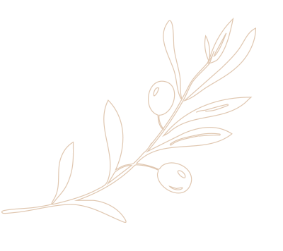 Olive branch outline