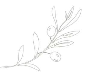 olive branch motif