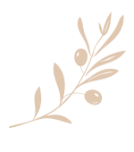 olive motif 2